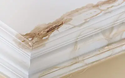 6 Places Where Water Damage in the Home Can Occur