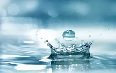 7 Tips for Conserving Water in Summer