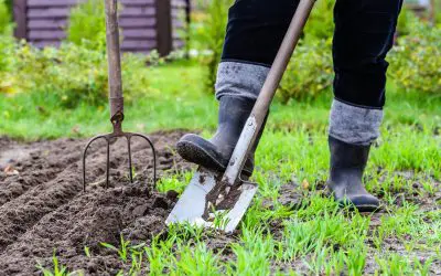 6 Tips to Help Prepare Your Garden for Spring