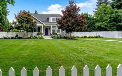 Tree Maintenance: Keeping Your Trees in Top Shape