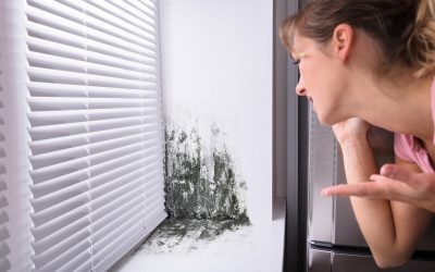 9 Things That May Cause Mold at Home