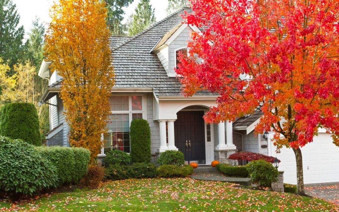 boost curb appeal this fall
