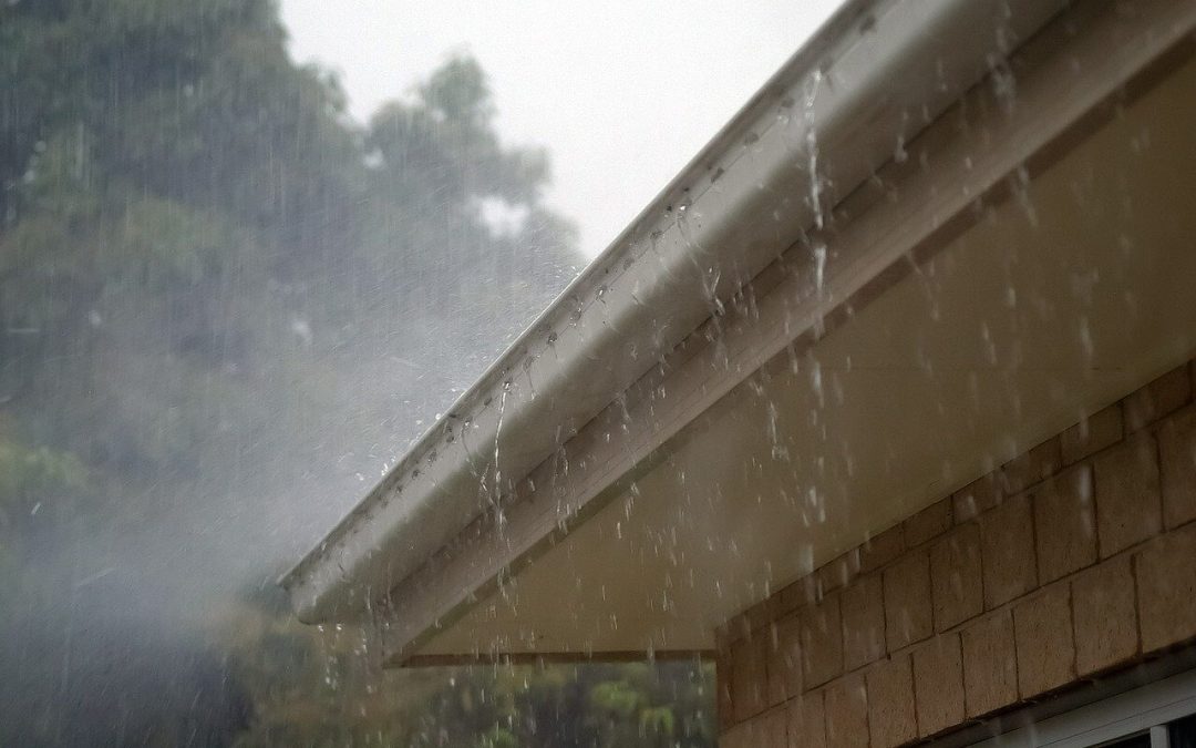 5 Tips for Cleaning the Gutters