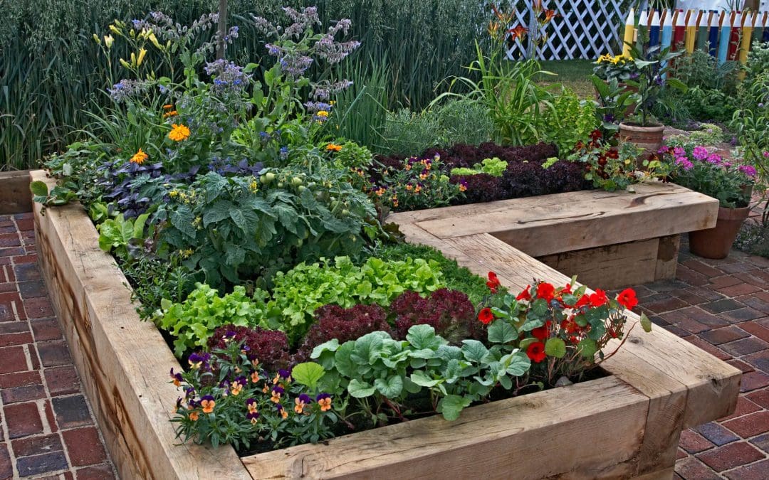 9 Basics to Help Your Garden Survive Summer