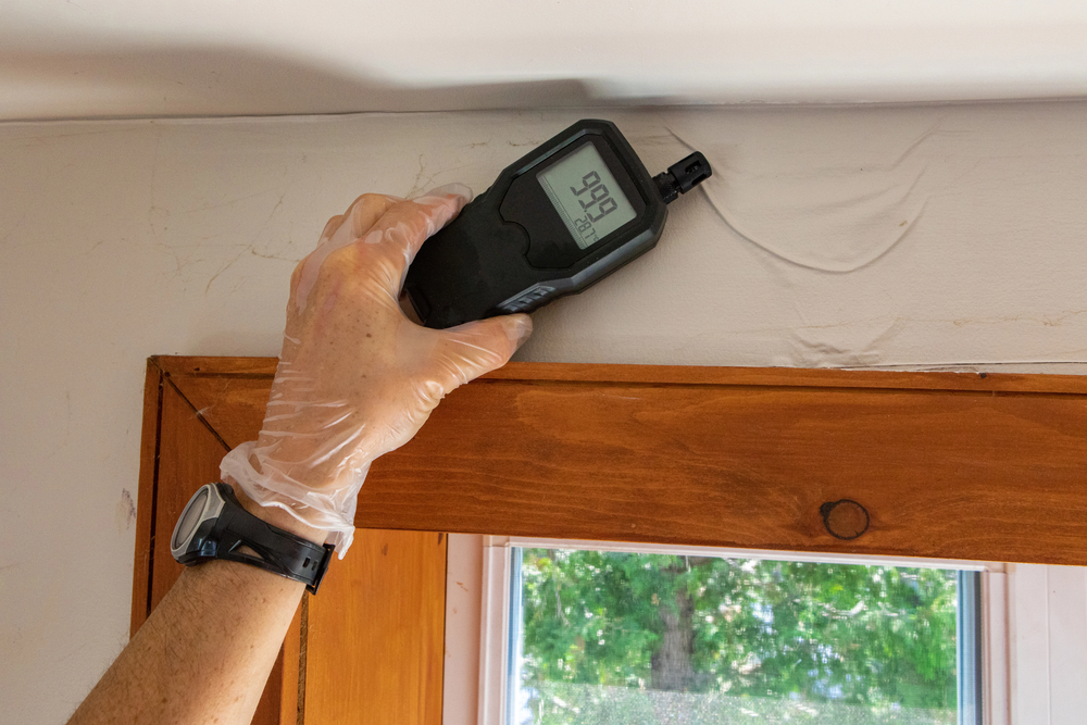 A gloved hand holds a moisture meter against a wall above a window frame, displaying a reading of 99.6.
